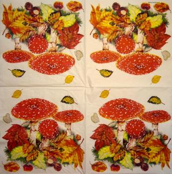 237 Herbst - 3-lagig - Ambiente